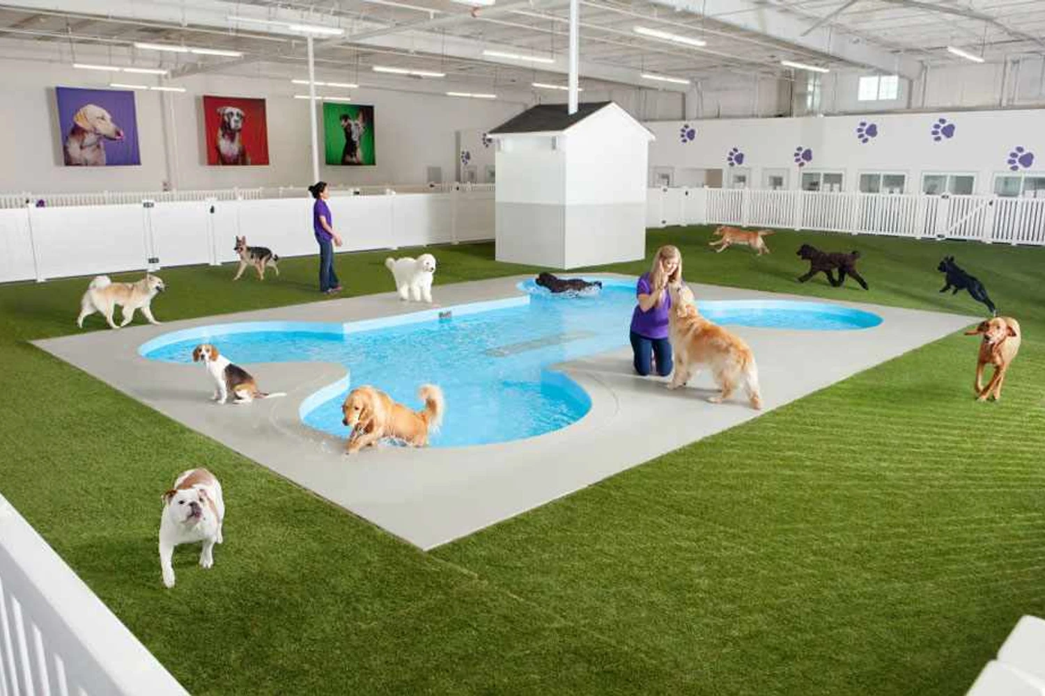 Aeroporto de Nova York terá terminal exclusivo para “pets”