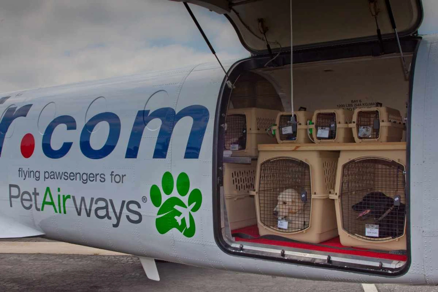 Em seu auge, a Pet Airways chegou a ter 20 aeronaves (Pet Airways)