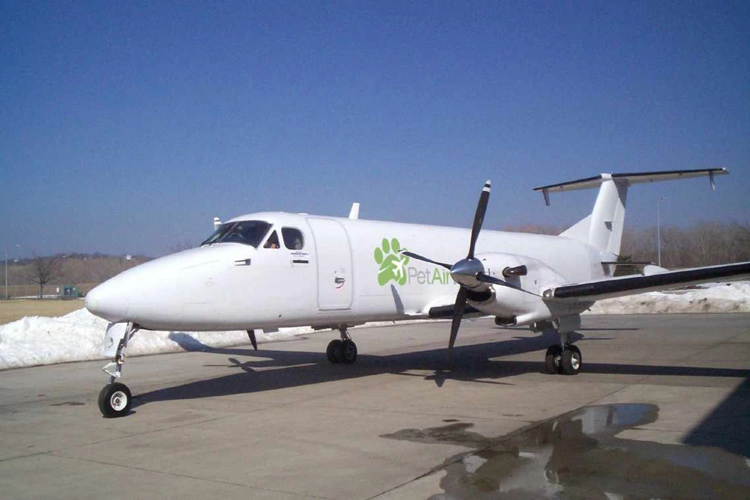 Turboélice King Air da Pet Airways