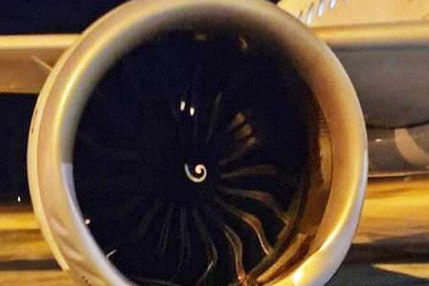 Motor direito do A320neo da TAP danificado após a colisão (Redes sociais)