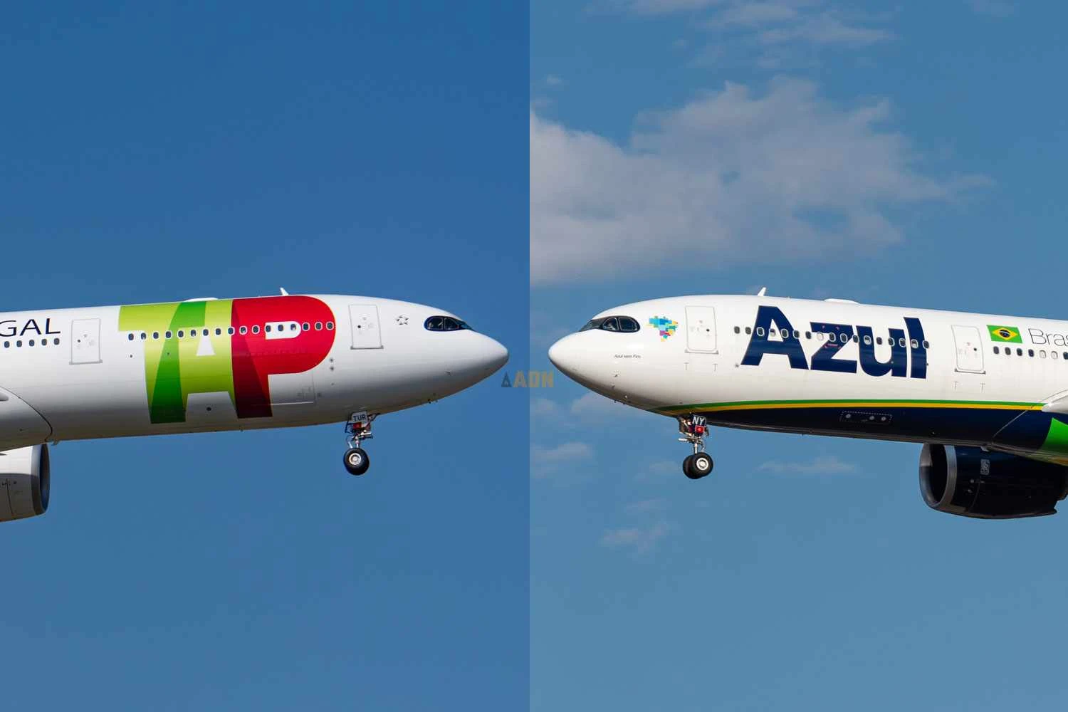 Briga no ar: Azul quer R$ 1,1 bilhão da TAP, a companhia aérea estatal portuguesa