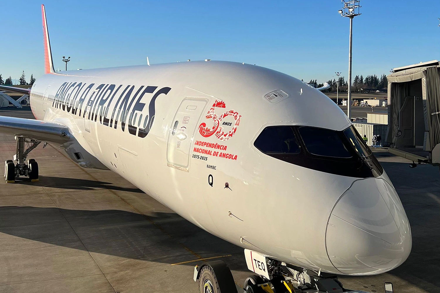 Boeing demanda por jatos comerciais na África explodir nas próximas décadas