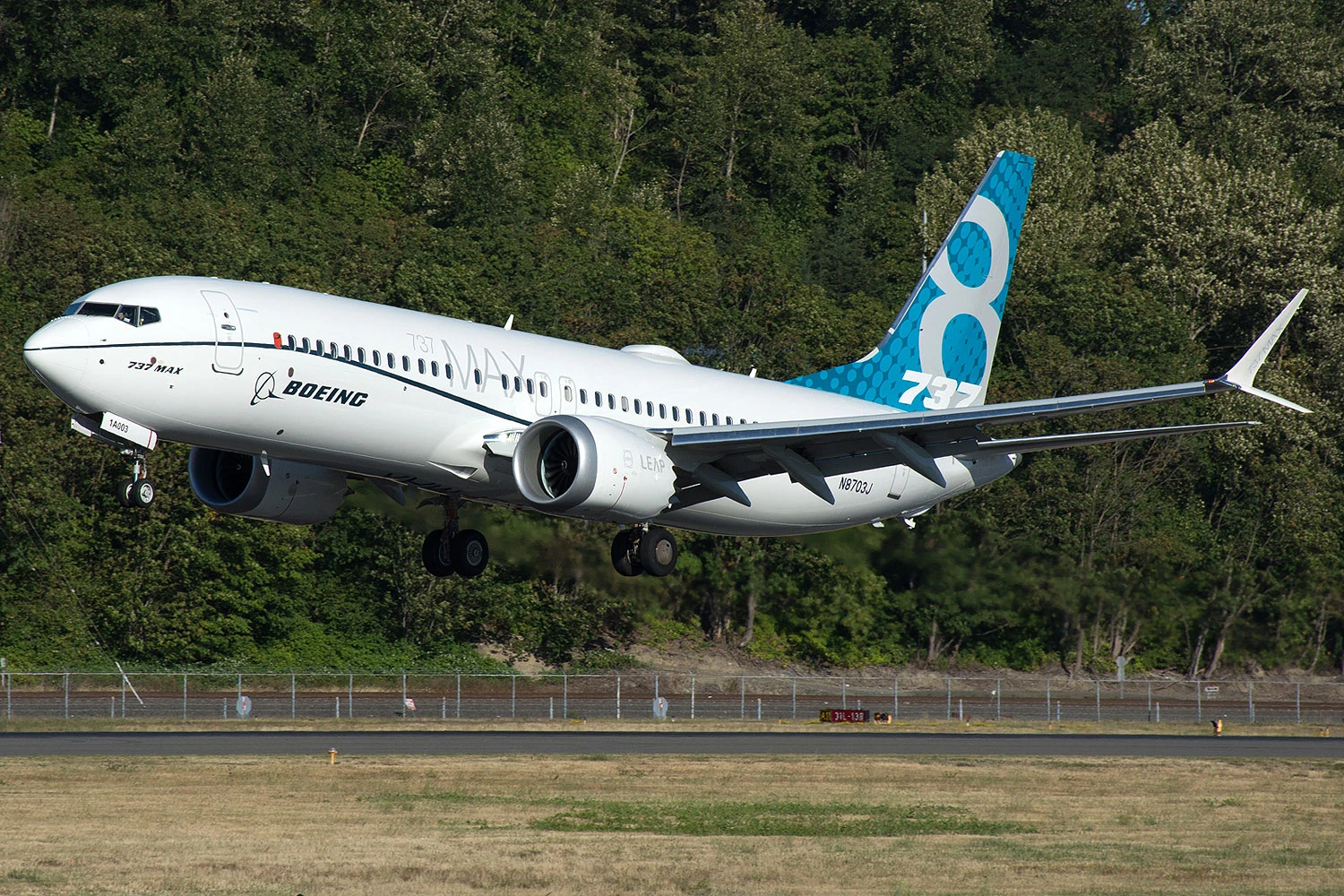 Boeing 737 MAX 8 (Andrew W. Sieber)