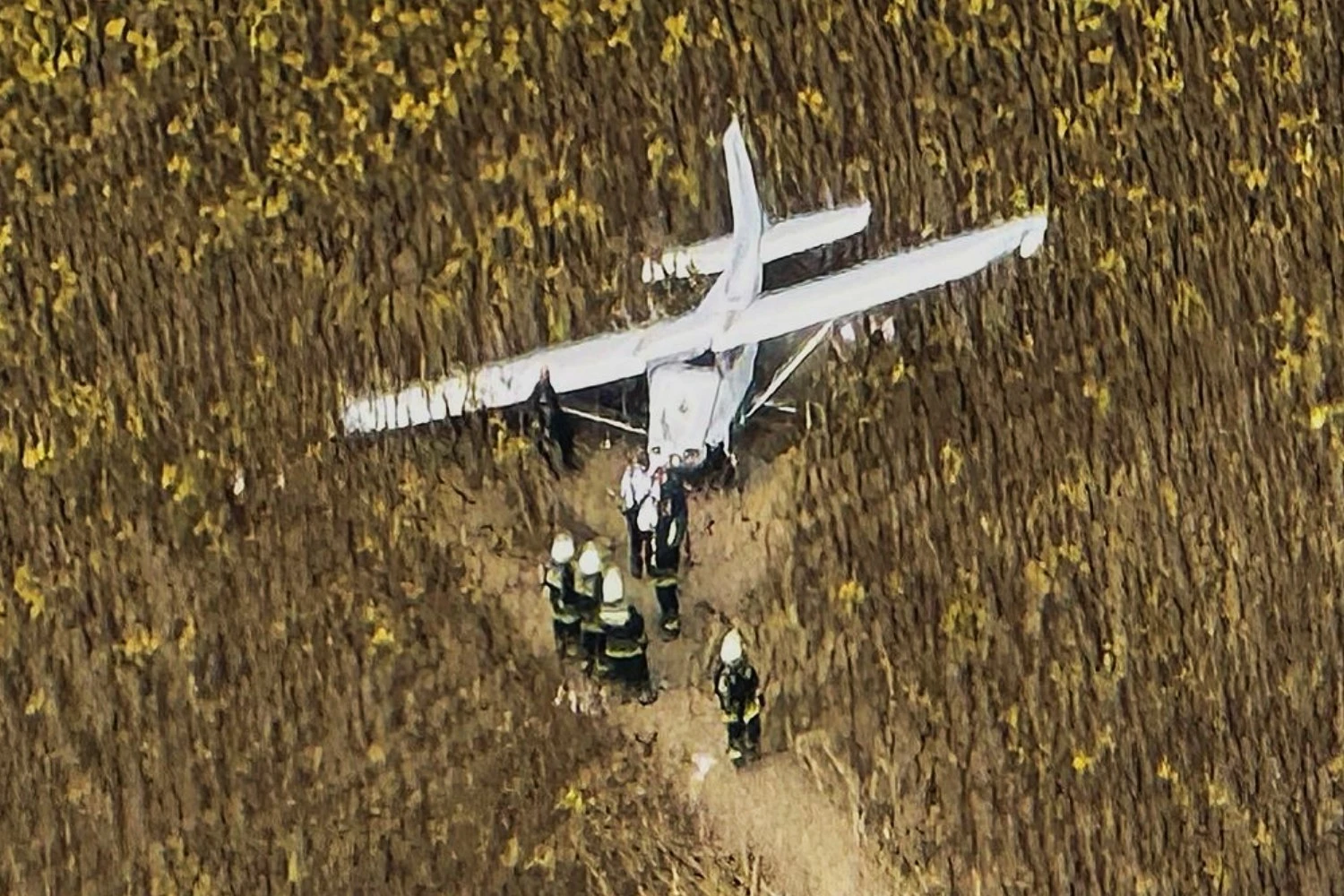 O Cessna 172 fez um pouso forçado perto de Gerjen, um vilarejo próximo a Paks