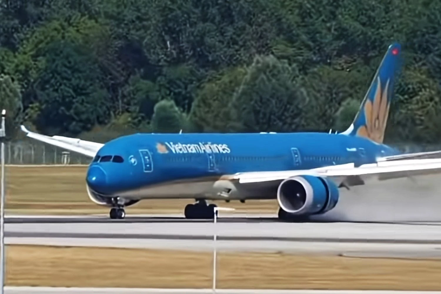 Boeing 787 da Vietnam Airlines foi atingido por pássaros durante decolagem em Munique