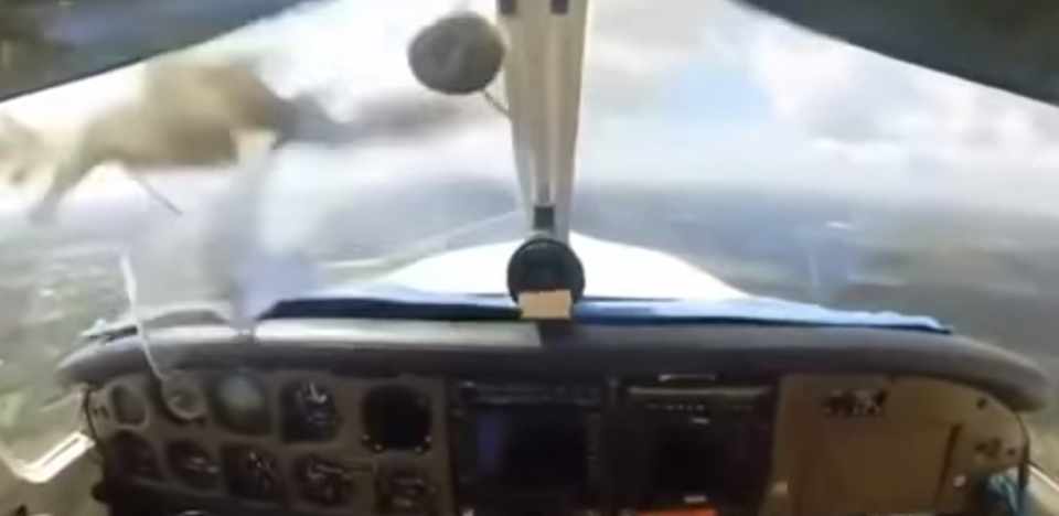 Avião estava a 270 km/h no momento do impacto