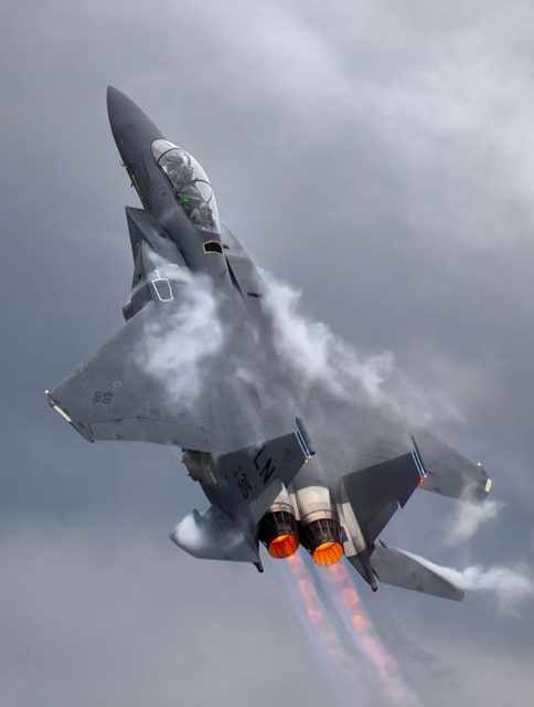 O F-15 pode voar a mais de 30.000 metros de altitude e passar dos 2.600 km/h (Divulgação)