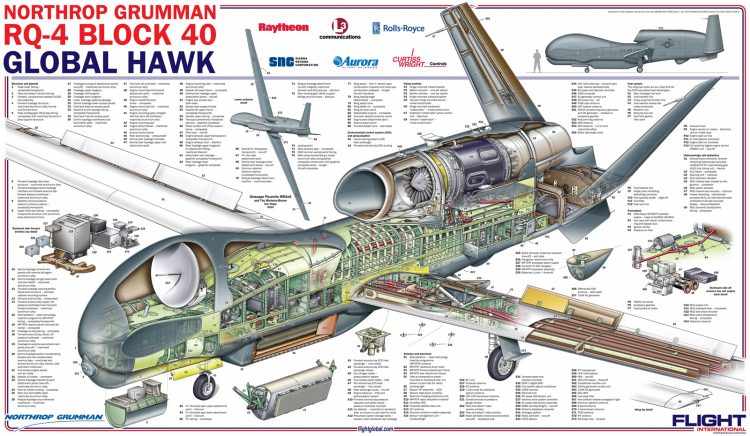 Raio-X do GLobal Hawk (Imagem - FlightGlobal)