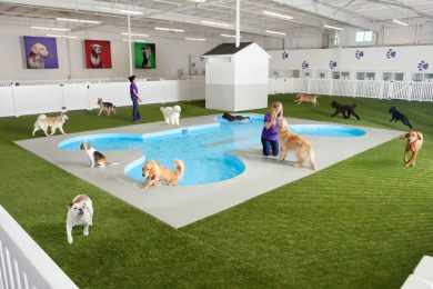 O terminal para animais em NY vai ter até um spa para animais de estimação (Foto - Fast Company)