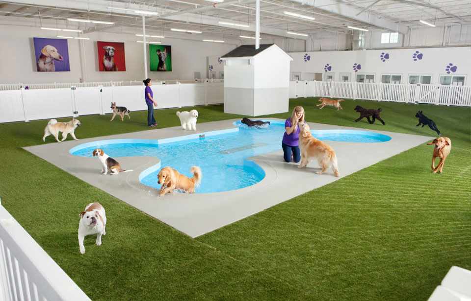 O terminal para animais em NY vai ter até um spa para animais de estimação (Foto - Fast Company)