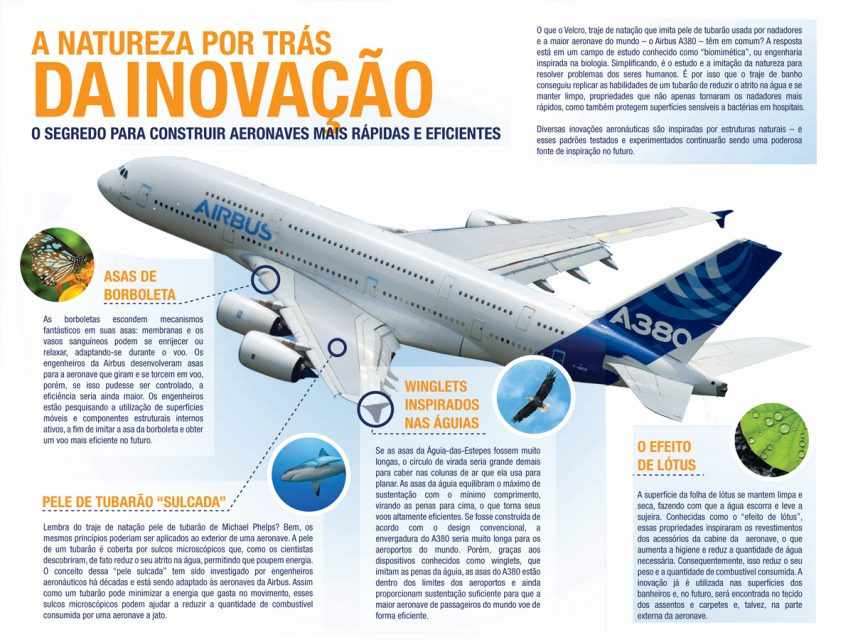 O A380 imita elementos encontrados na natureza para encontrar formas mais eficientes de voar (Infográfico - Airbus)