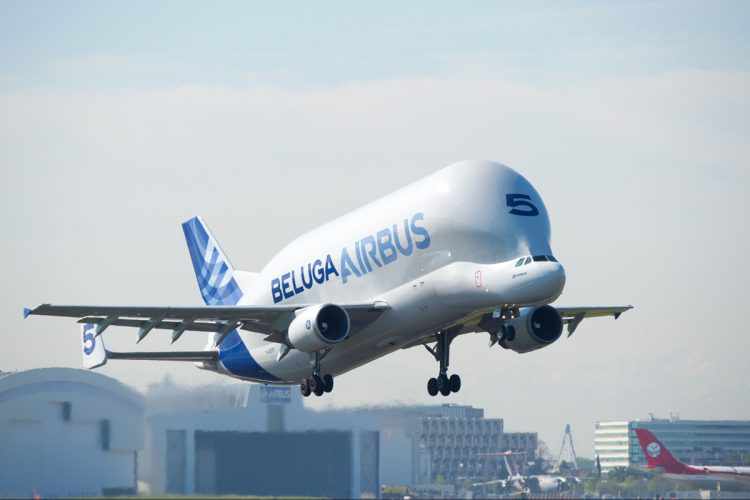 O Beluga ST é operado pela Airbus desde 1995 (Airbus)