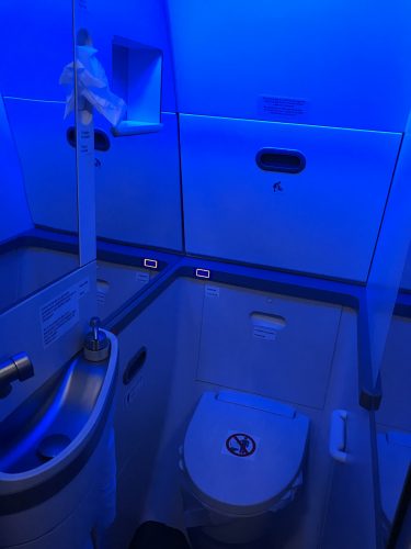 A luz diferente no toalete do 737 MAX tem ação antibactericida (Thiago Vinholes)
