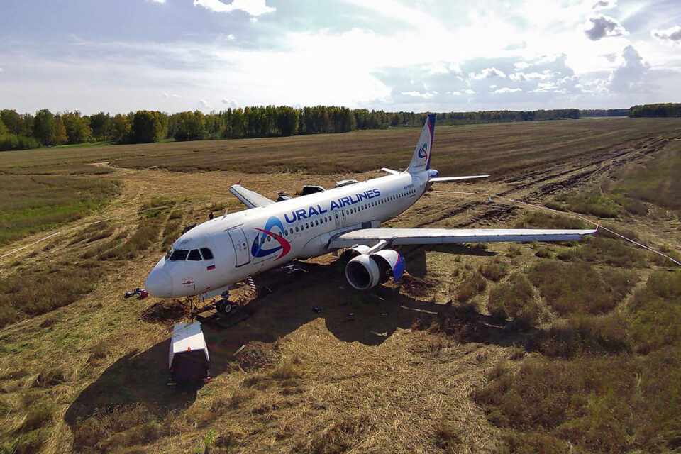 A320 sem esperança de sair do campo trigo