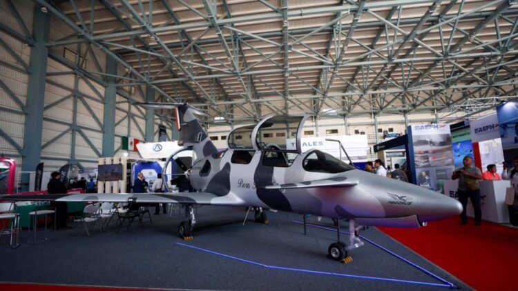 Oaxaca Pegasus é considerado um avião 100% mexicano (Famex)