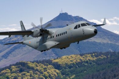 C295 espanhol